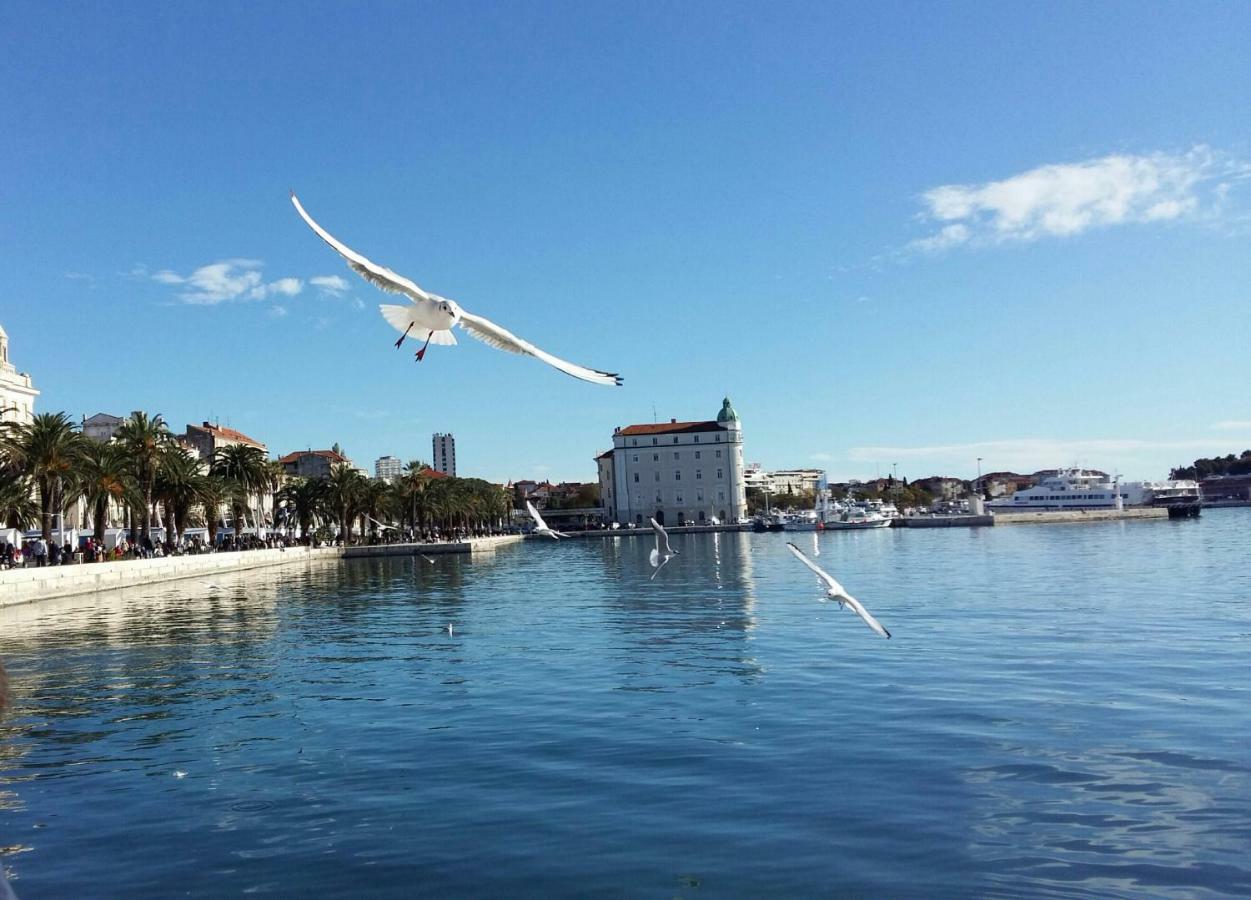 Apartment Oli Split Bagian luar foto